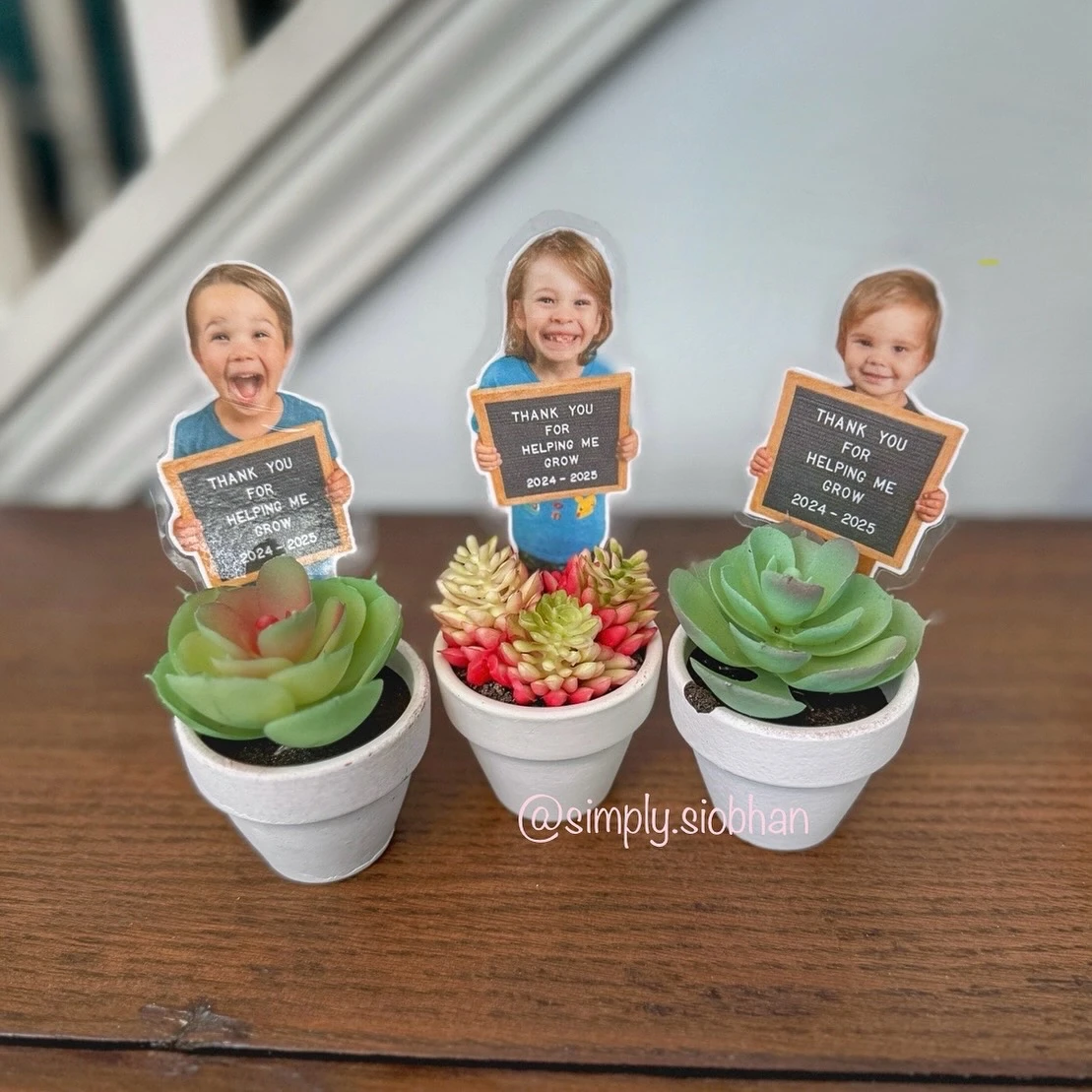 10. The Personalized Photo Plant