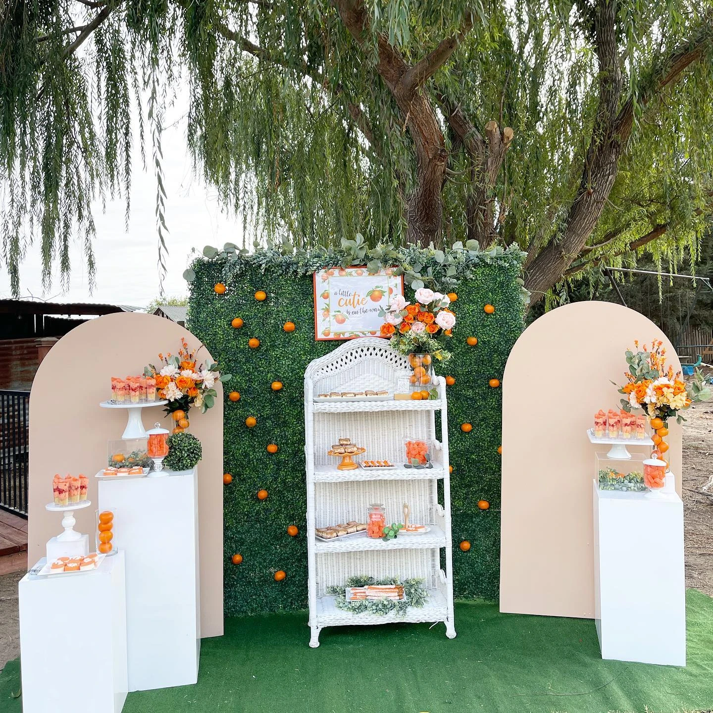 13. The Rented Boxwood Wall