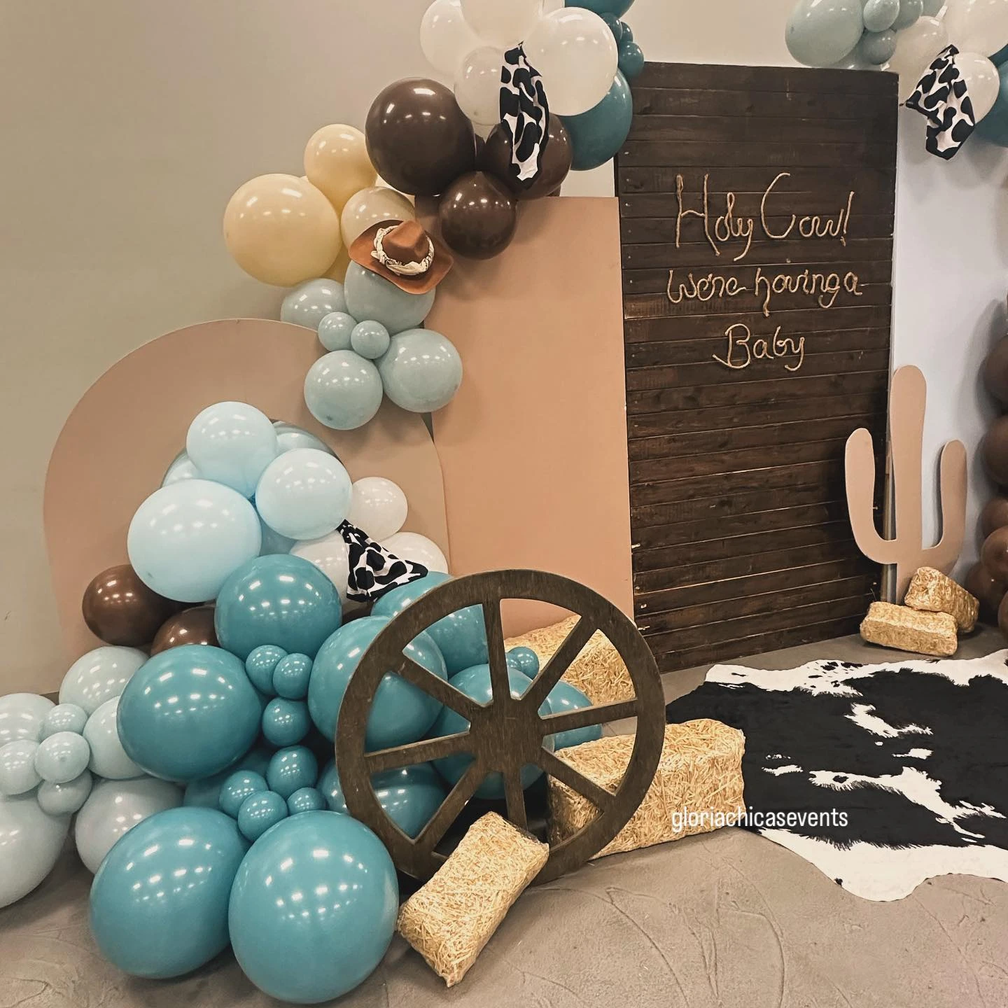 29. 'Holy Cow' Themed Backdrop