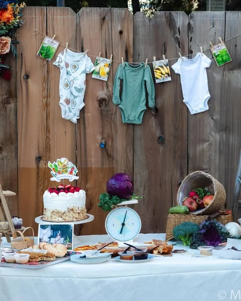 9. Baby Clothesline Backdrop