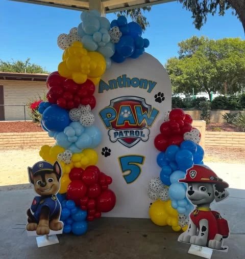 4. Build One Main Paw Patrol Party Zone
