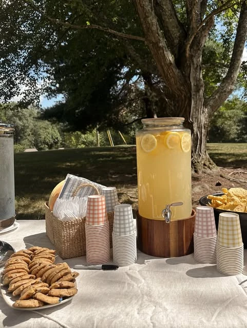 15. Style One Central Table for an Outdoor Party image 2