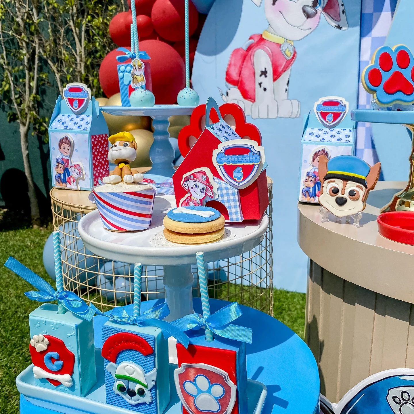 3. Build One Big Paw Patrol Photo Zone image 2