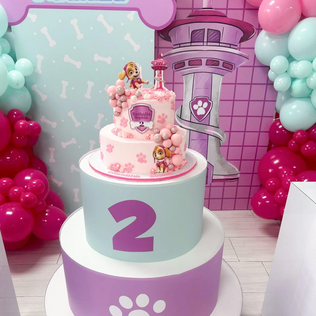 14. Create a Skye & Everest Paw Patrol Party Zone image 2