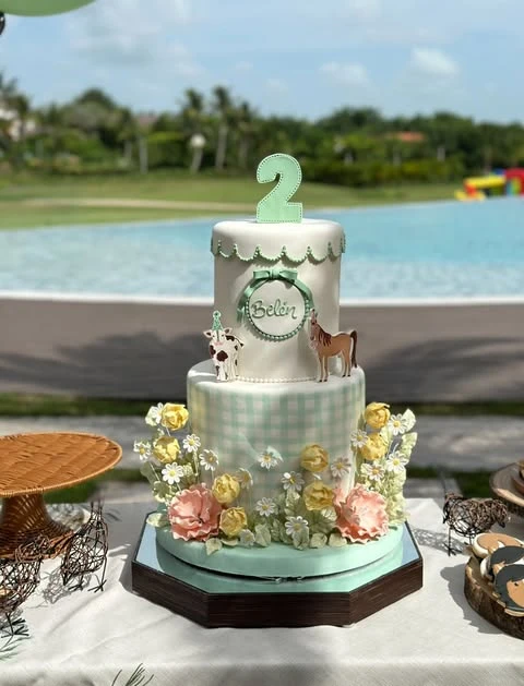 16. Create Activity Zones for a Summer Birthday image 3