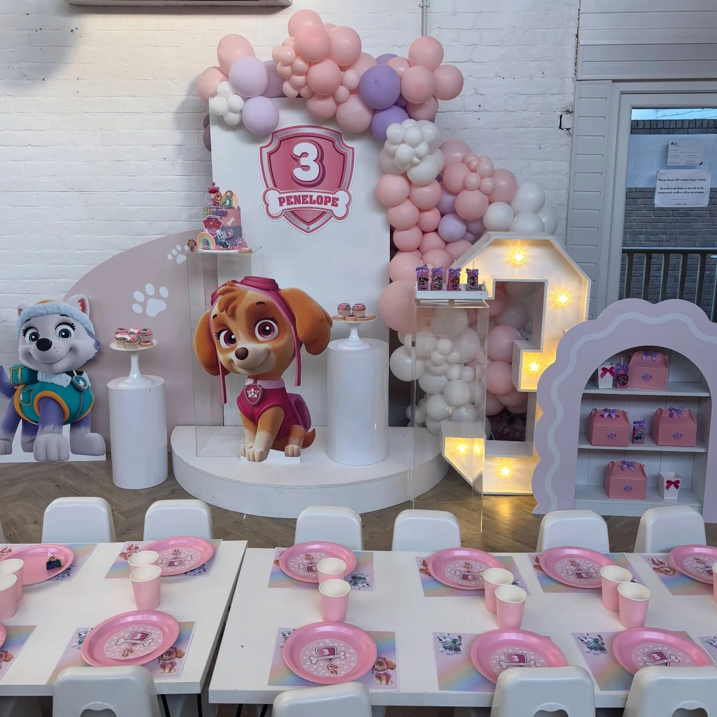 6. Style a Skye & Everest Paw Patrol Party image 1