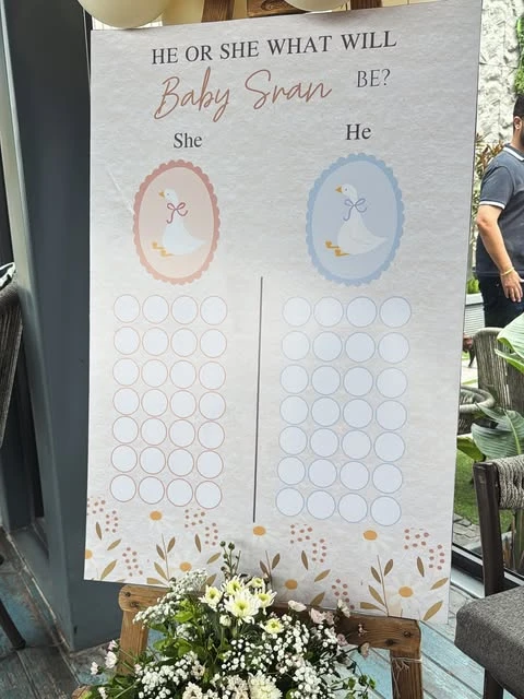 19. Goose Gender Reveal Board