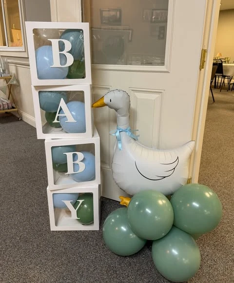 35. Balloon Blocks and Goose