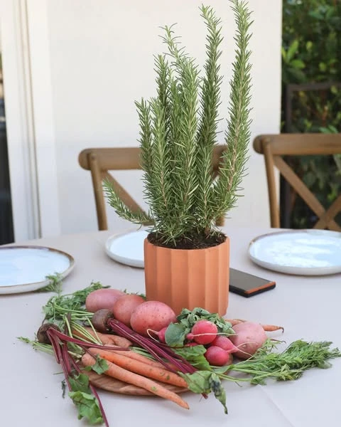 A rustic baby shower centerpiece with a potted rosemary plant in a terracotta pot, surrounded by fresh carrots, radishes, and potatoes on a wooden board.