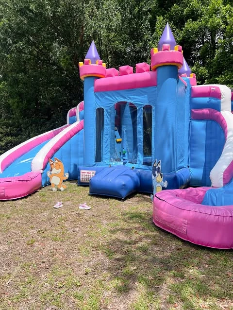 A blue and pink bounce house for a birthday party, with Bluey and Bingo cutouts standing in the grass nearby.