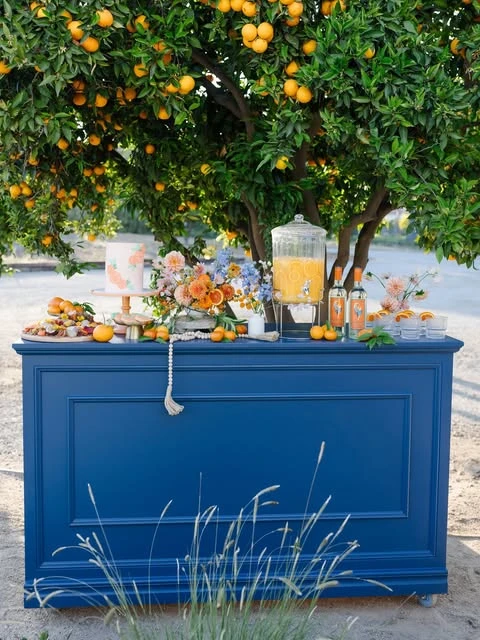 Cobalt Beverage Station italian summer party theme ideas