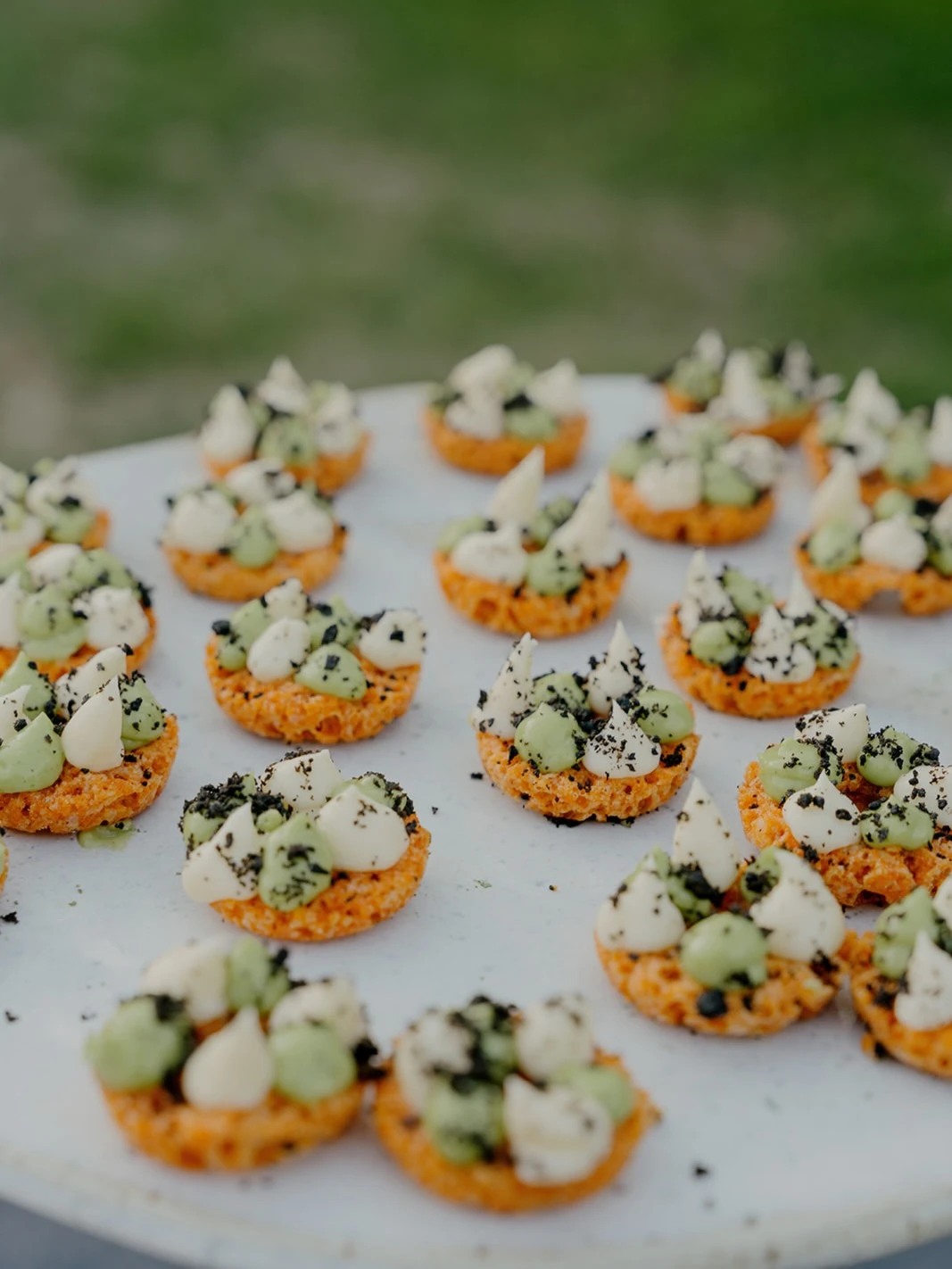 Herbed Crisp Appetizers italian summer party theme ideas