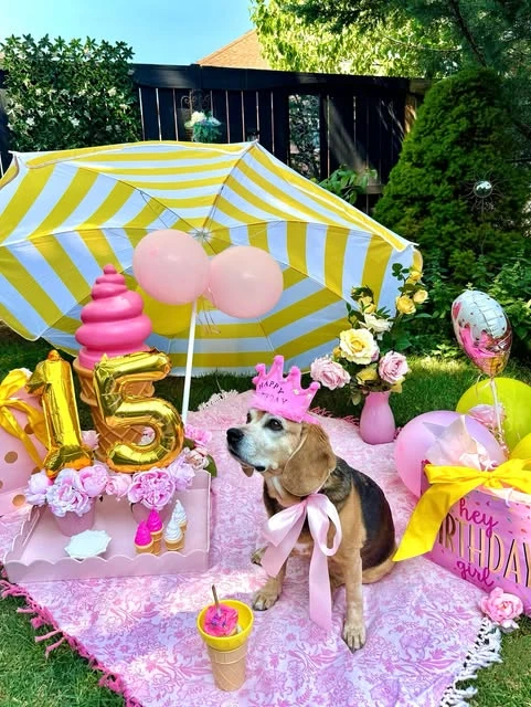 Striped Picnic Lounge italian summer party theme ideas