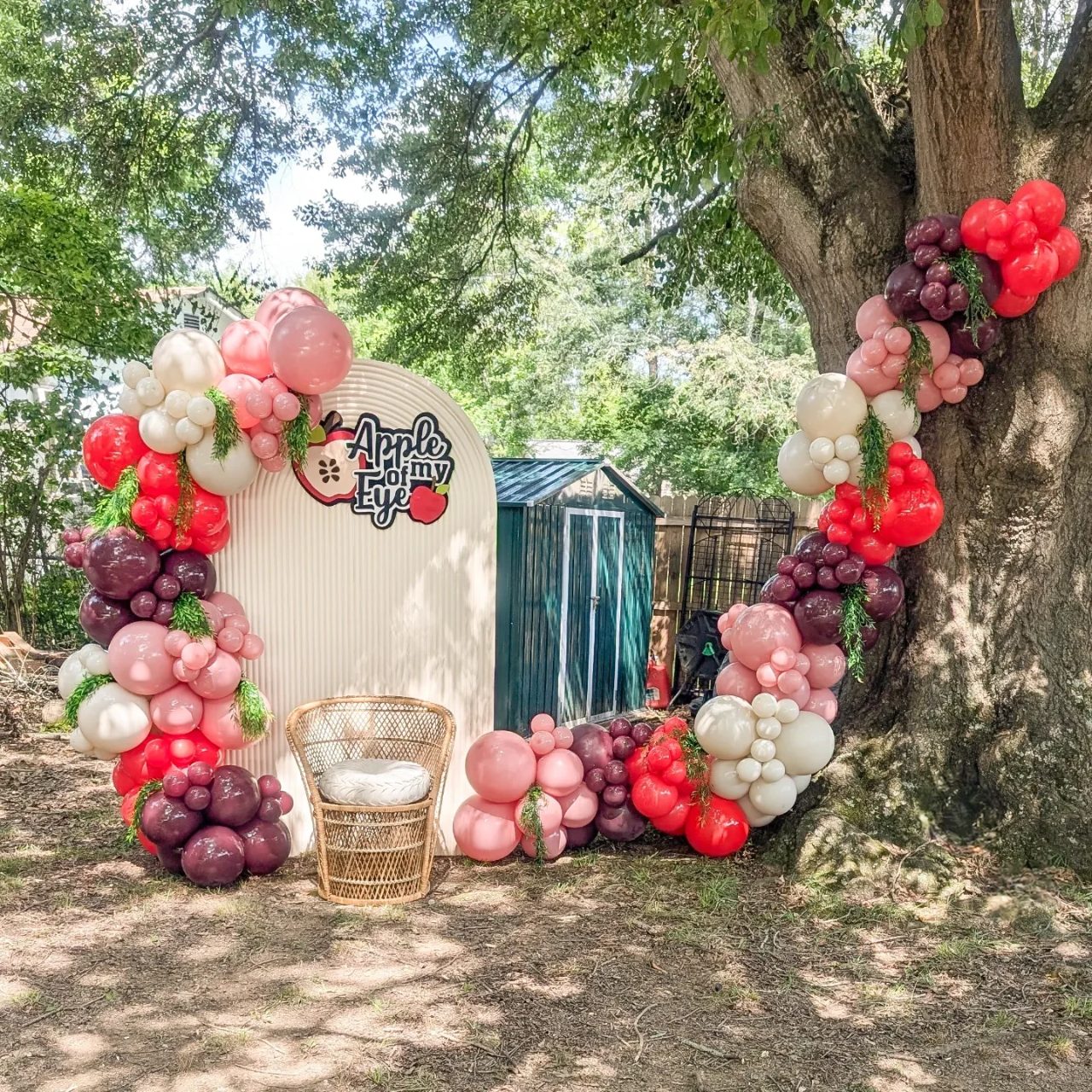 Focal Point Photo Backdrop apple of our eye baby shower ideas