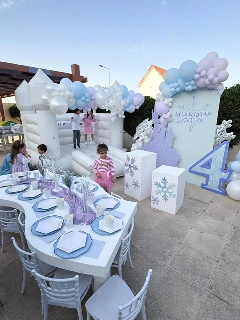 Coordinated Icy Outdoor Layout frozen birthday party ideas
