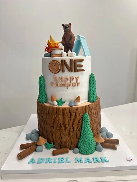 Tree Stump Tiered Cake one happy camper first birthday