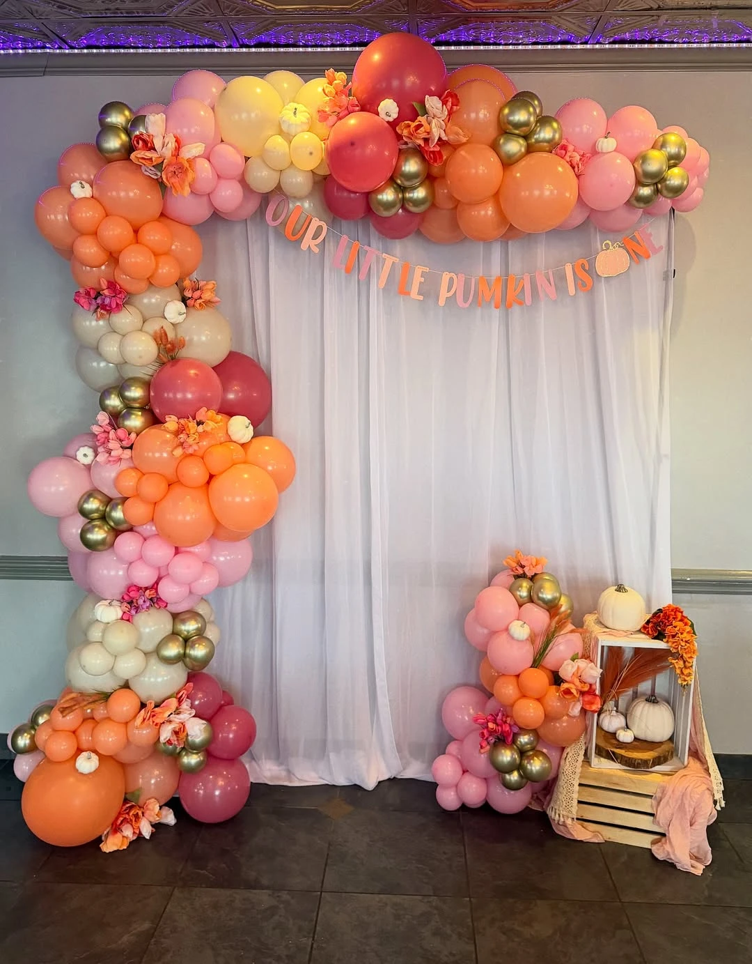 Vibrant Balloon Frame Backdrop our little pumpkin is turning one