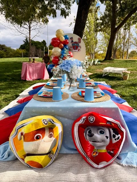 Character Themed Park Setup picnic birthday party ideas