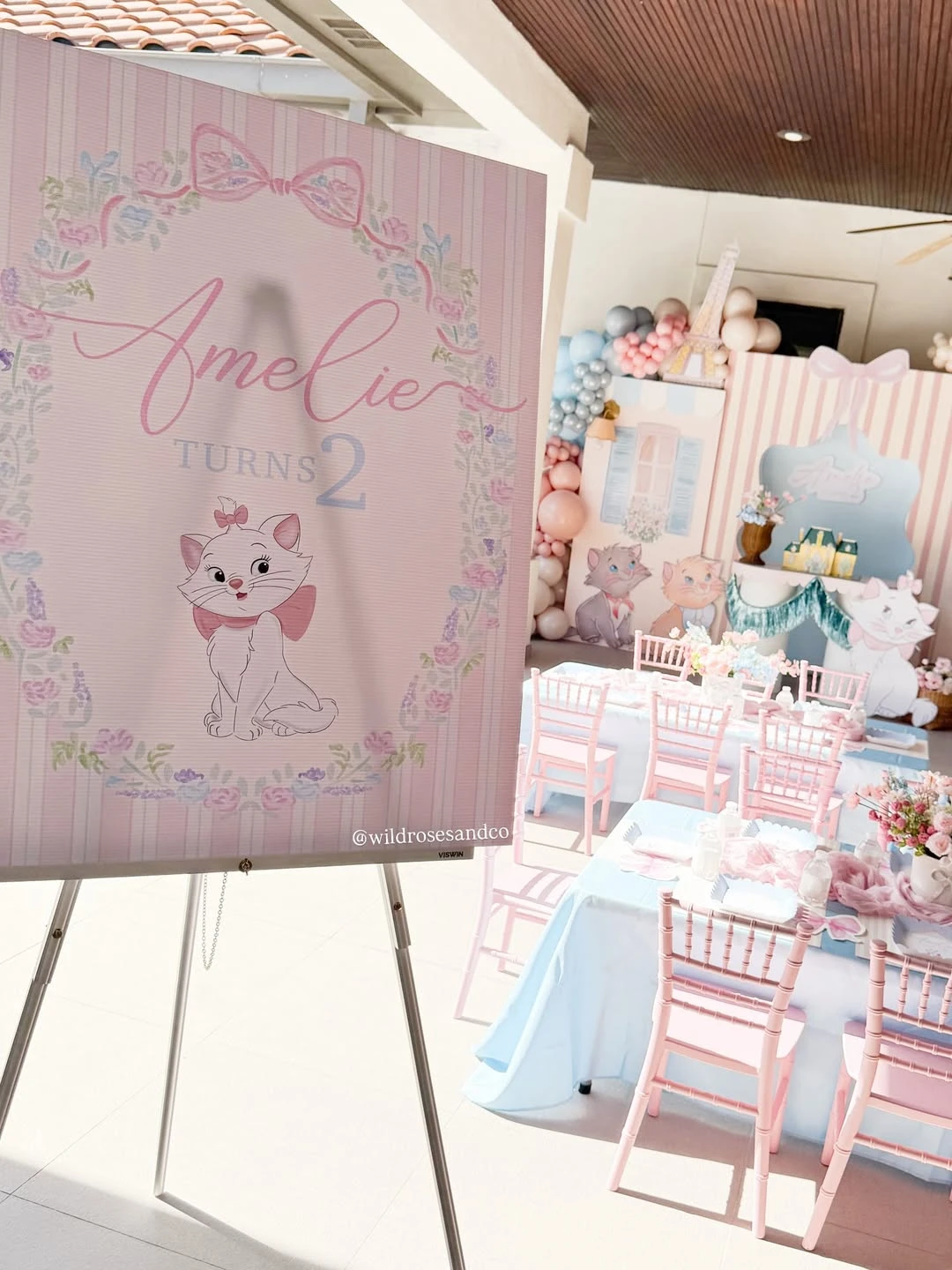 Custom Parisian Backdrops princess birthday party