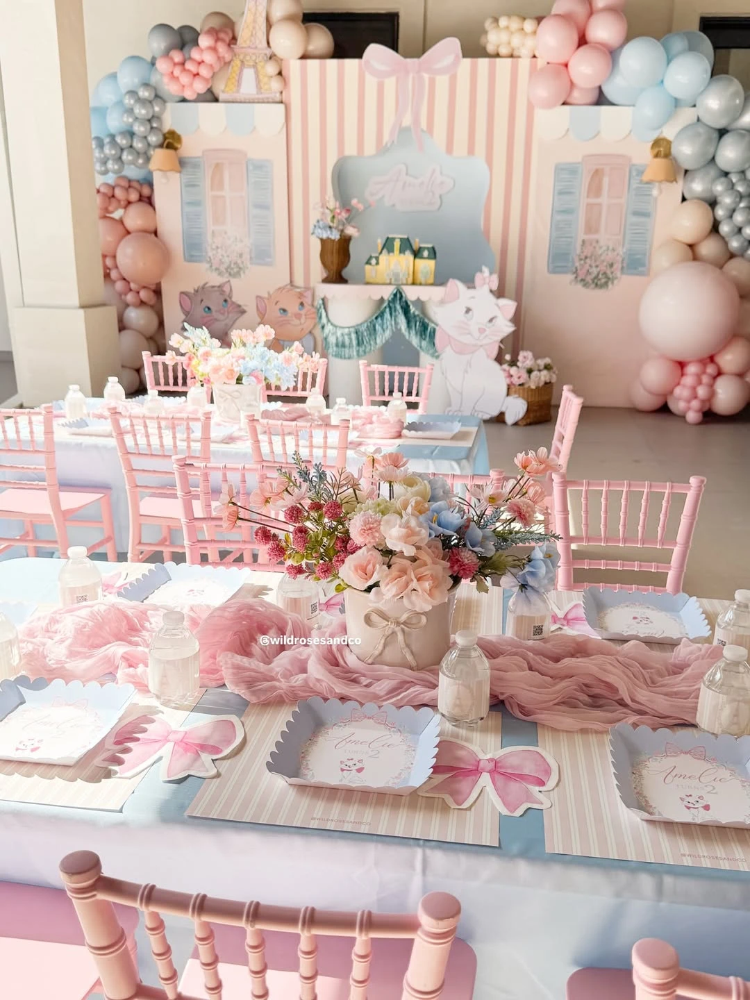 Custom Parisian Backdrops princess birthday party