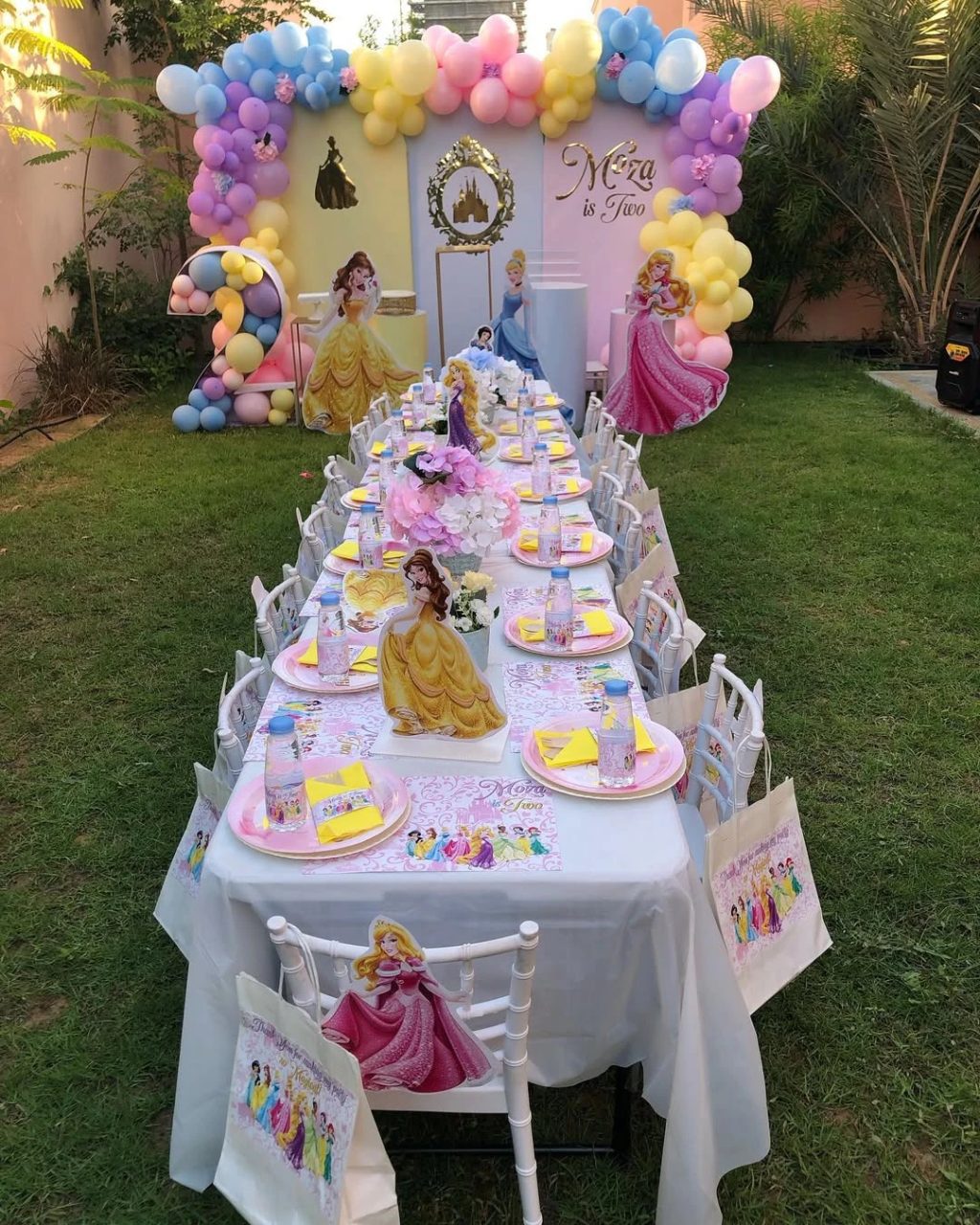 Unified Garden Dining Layout princess birthday party