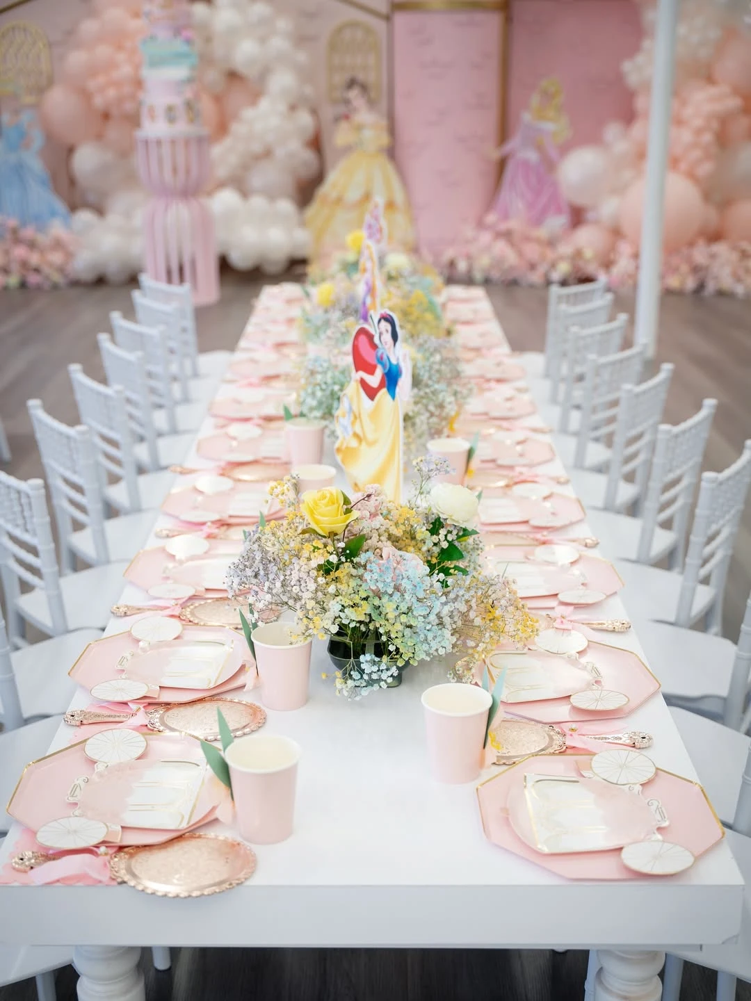 Coordinated Carriage Place Settings princess birthday party
