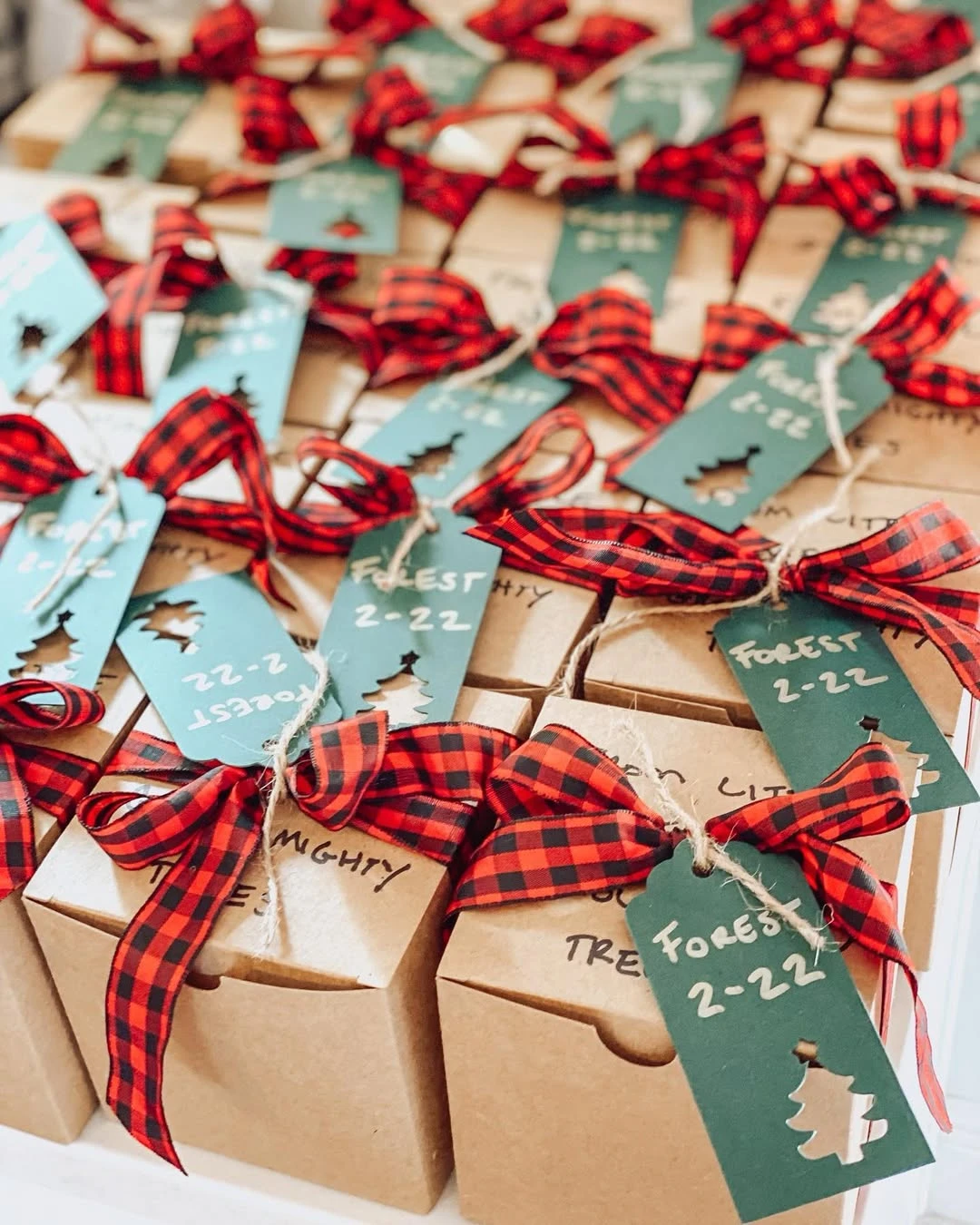 Plaid-Bound Kraft Favor Boxes santa baby shower ideas