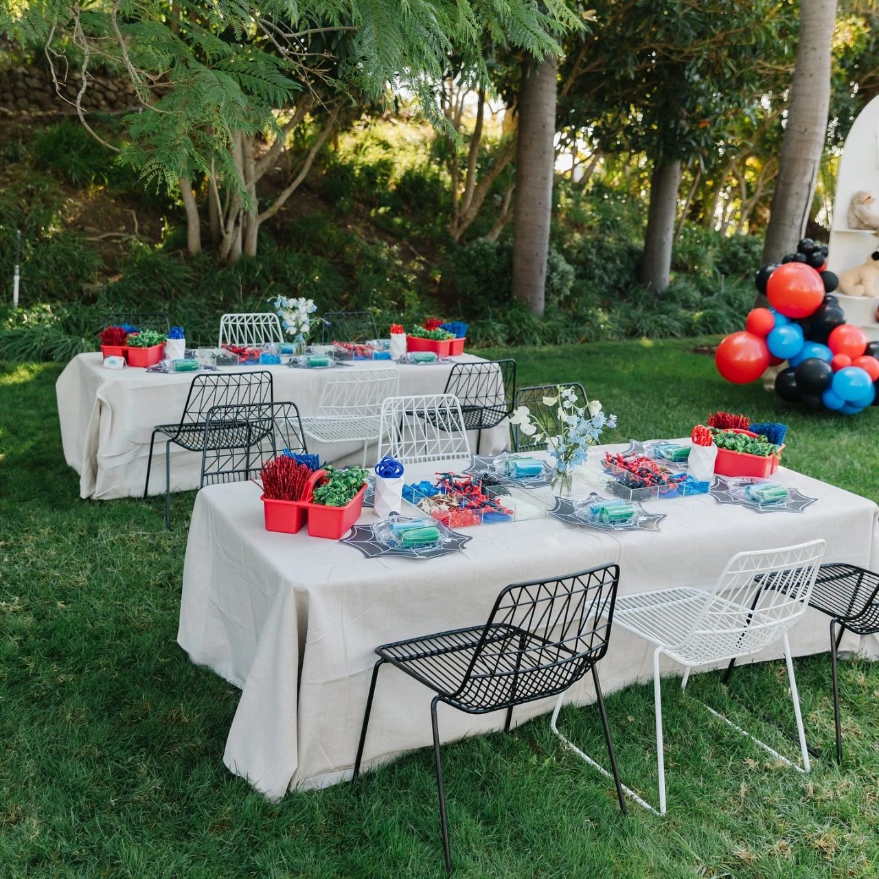 Graphic Web Place Settings spiderman birthday party ideas