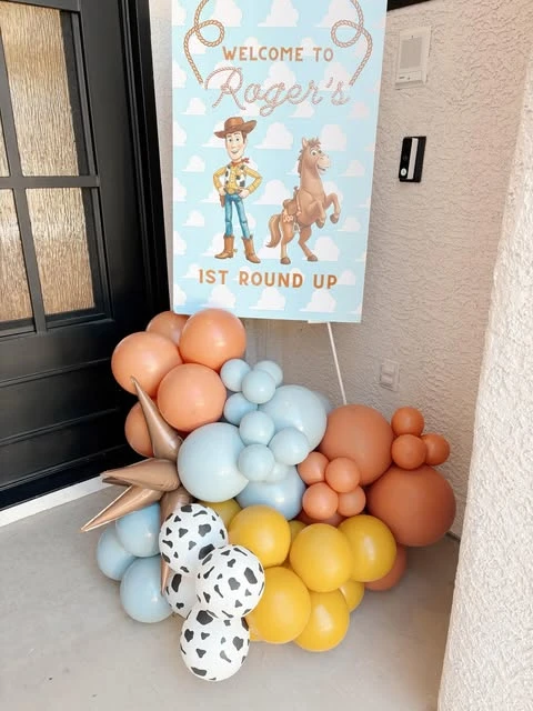 Custom Roundup Entry Display toy story birthday party ideas