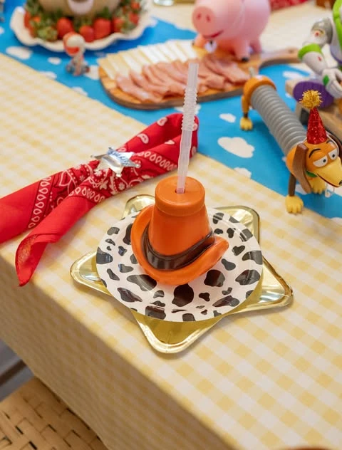 Western Roundup Accents toy story birthday party ideas