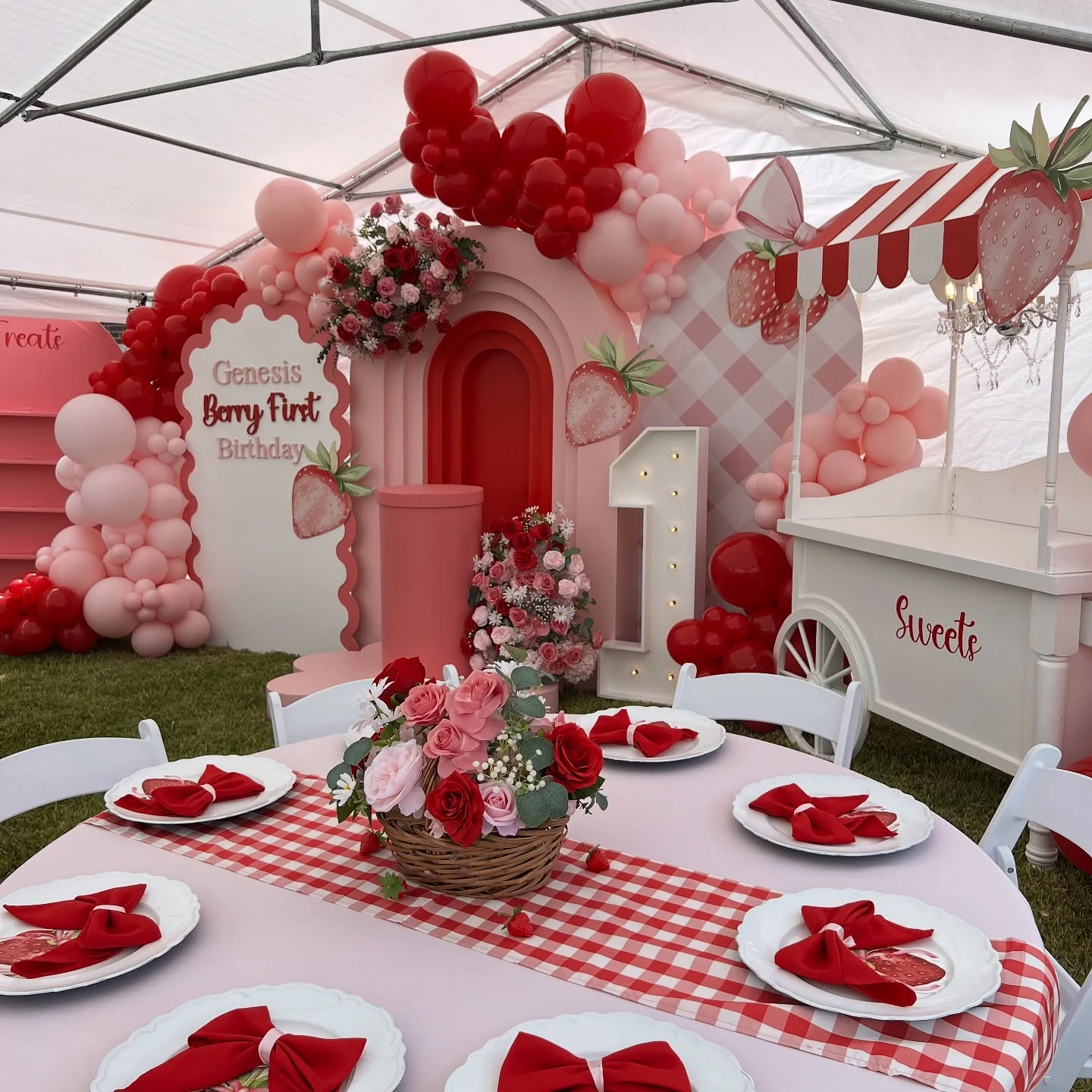 Strawberry Gingham Backdrop Display berry first birthday