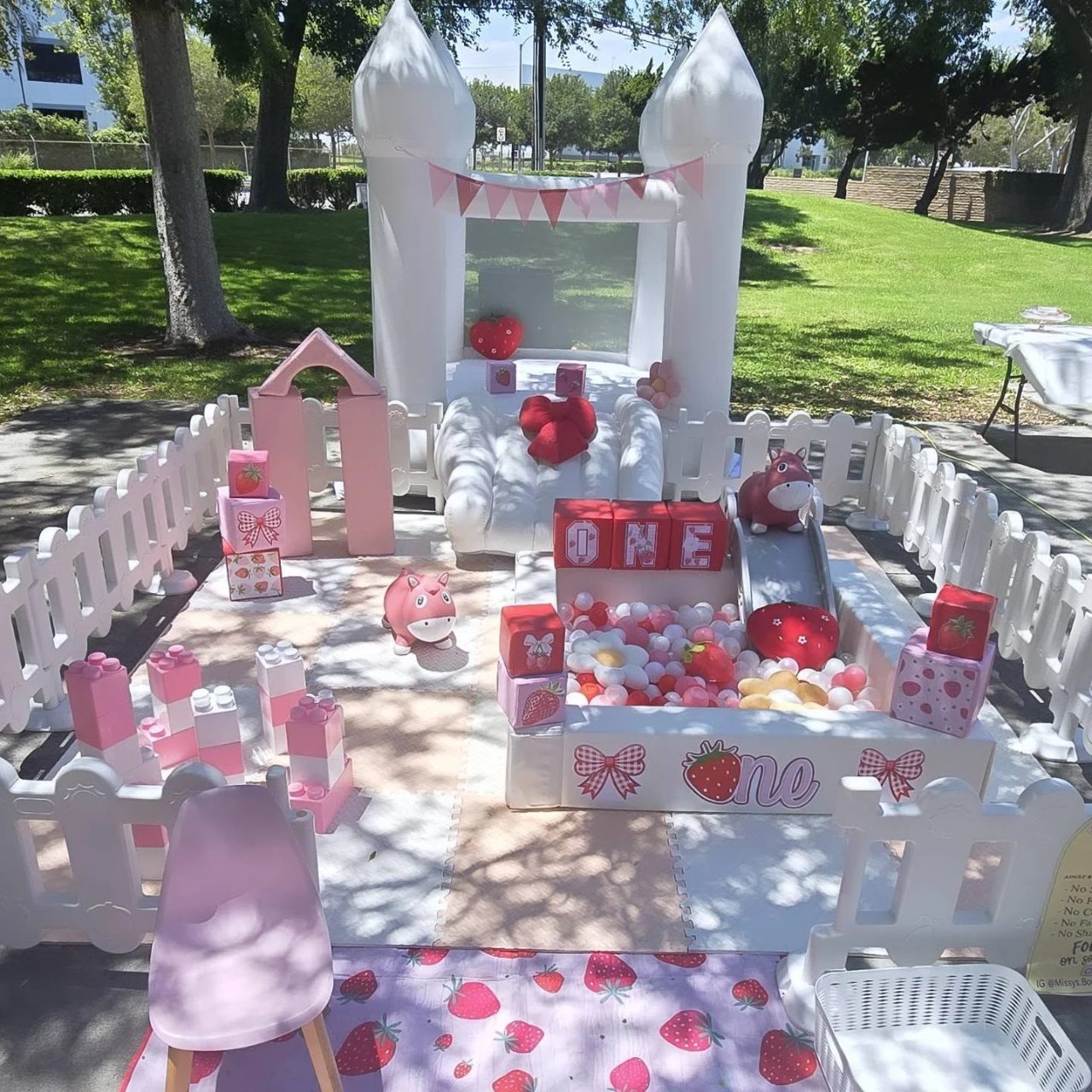 Soft Play Berry Patch berry first birthday