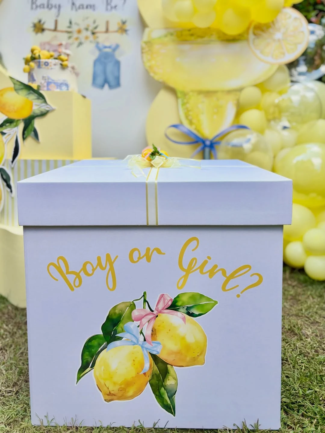 Wavy Lemon Backdrop Displays ciao baby shower