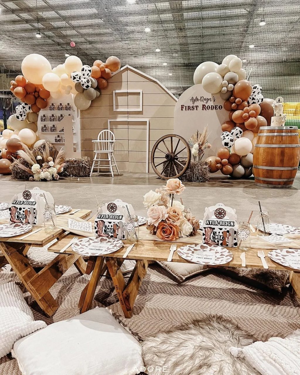 Multi-Textured Barnyard Photo Scene first rodeo birthday party