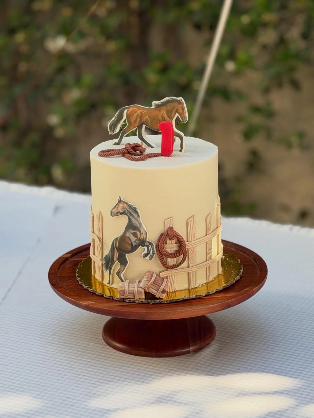 Textured Western Smash Cake first rodeo birthday party