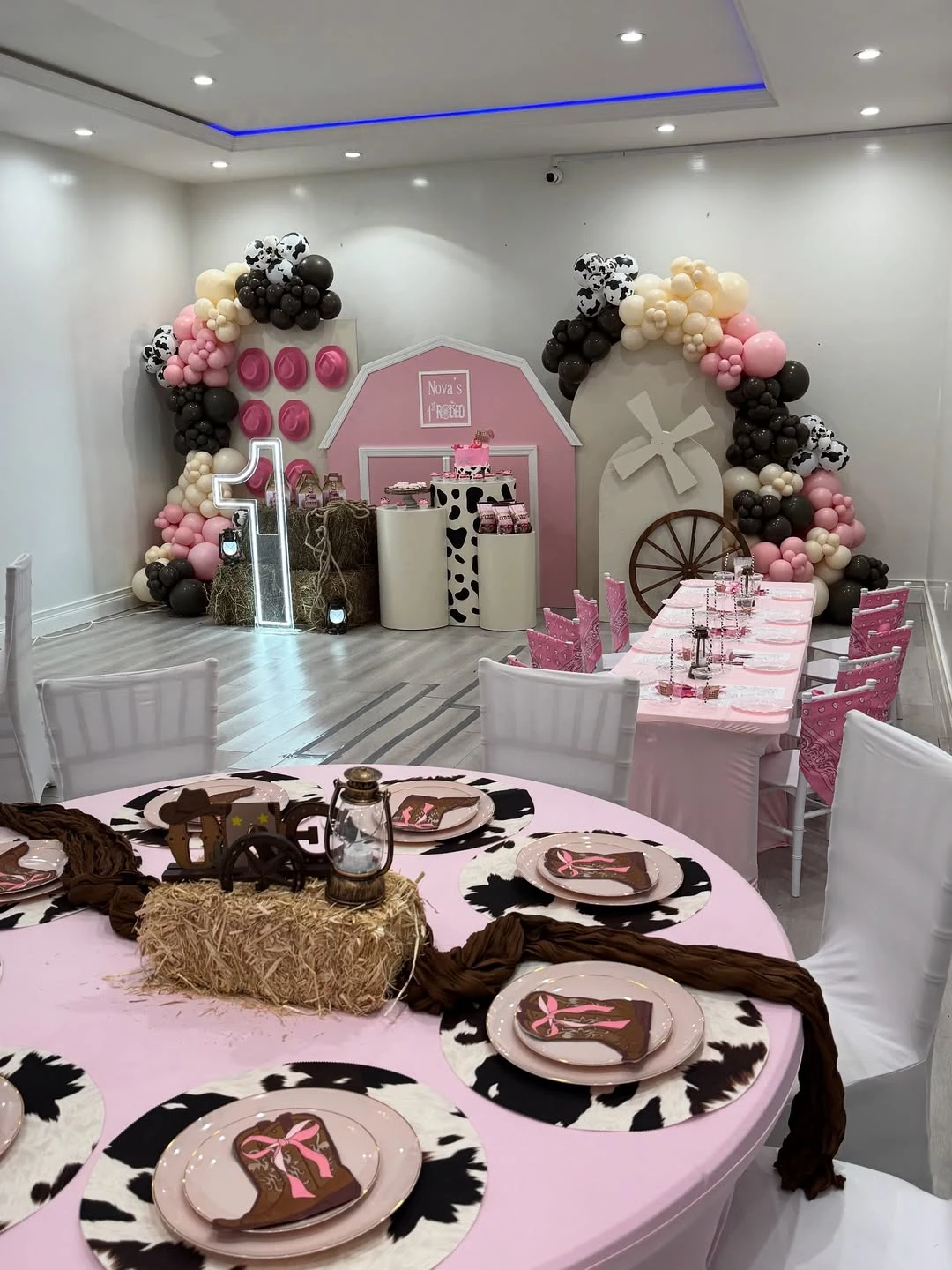 Pink Cowgirl Backdrop Scene first rodeo birthday party