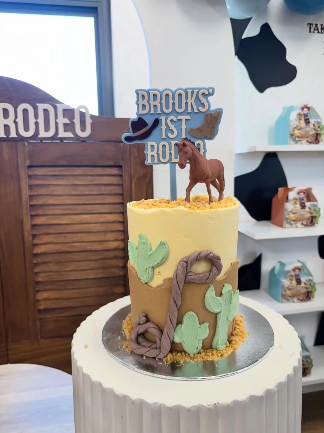 Western Lasso Smash Cake first rodeo birthday party
