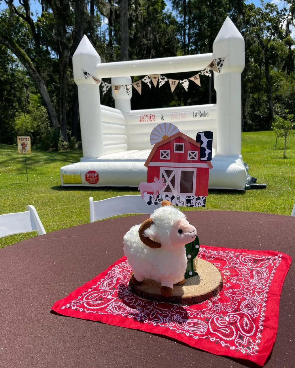Rustic Tabletop Texture Layers first rodeo birthday party