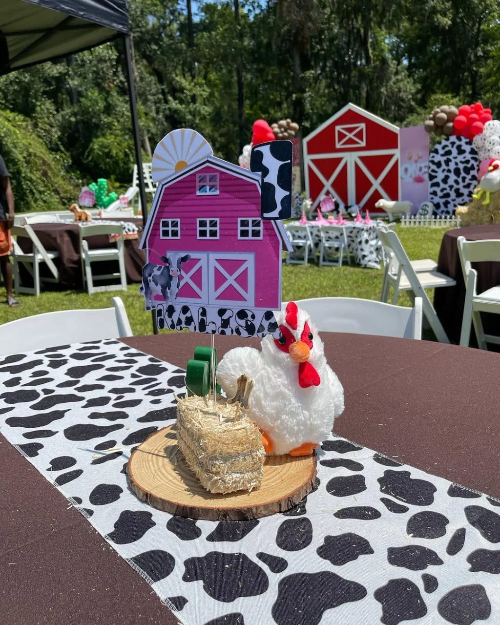 Rustic Tabletop Texture Layers first rodeo birthday party