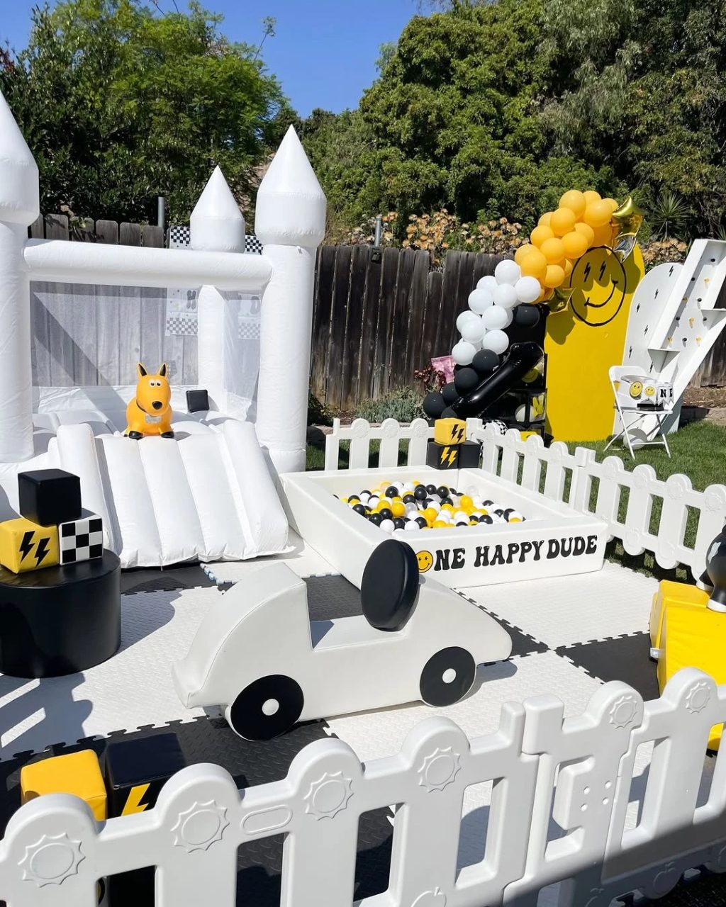 Themed Active Play Installation one happy dude birthday