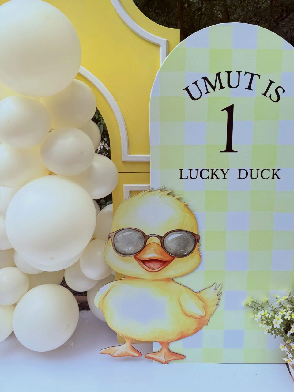 Soft Gingham Focal Point one lucky duck birthday party