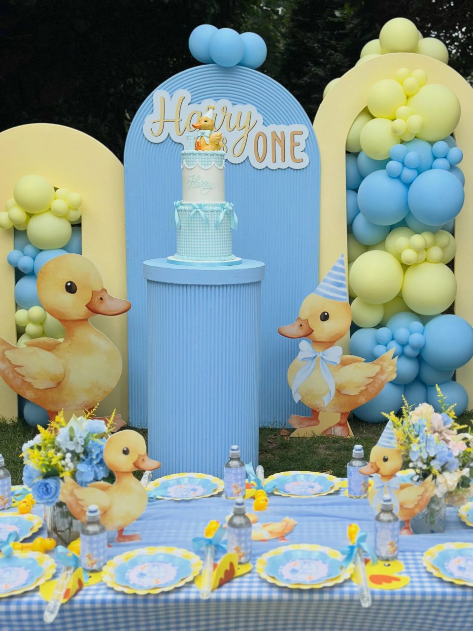 Textured Ripple Backdrop one lucky duck birthday party