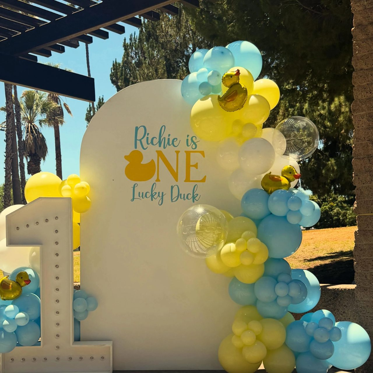 Bubbly Arch Backdrop one lucky duck birthday party