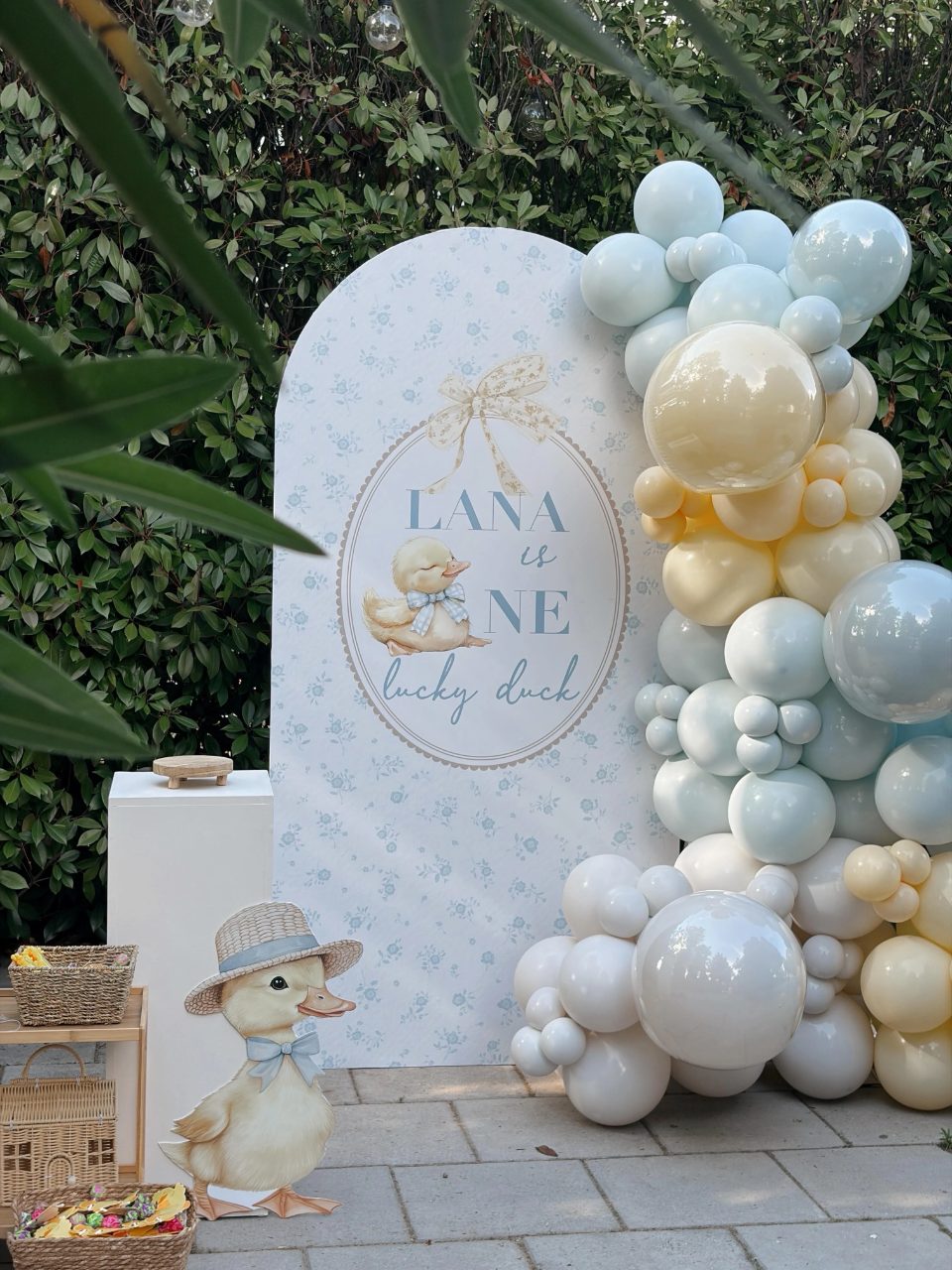 Vintage Duckling Focal Backdrop one lucky duck birthday party