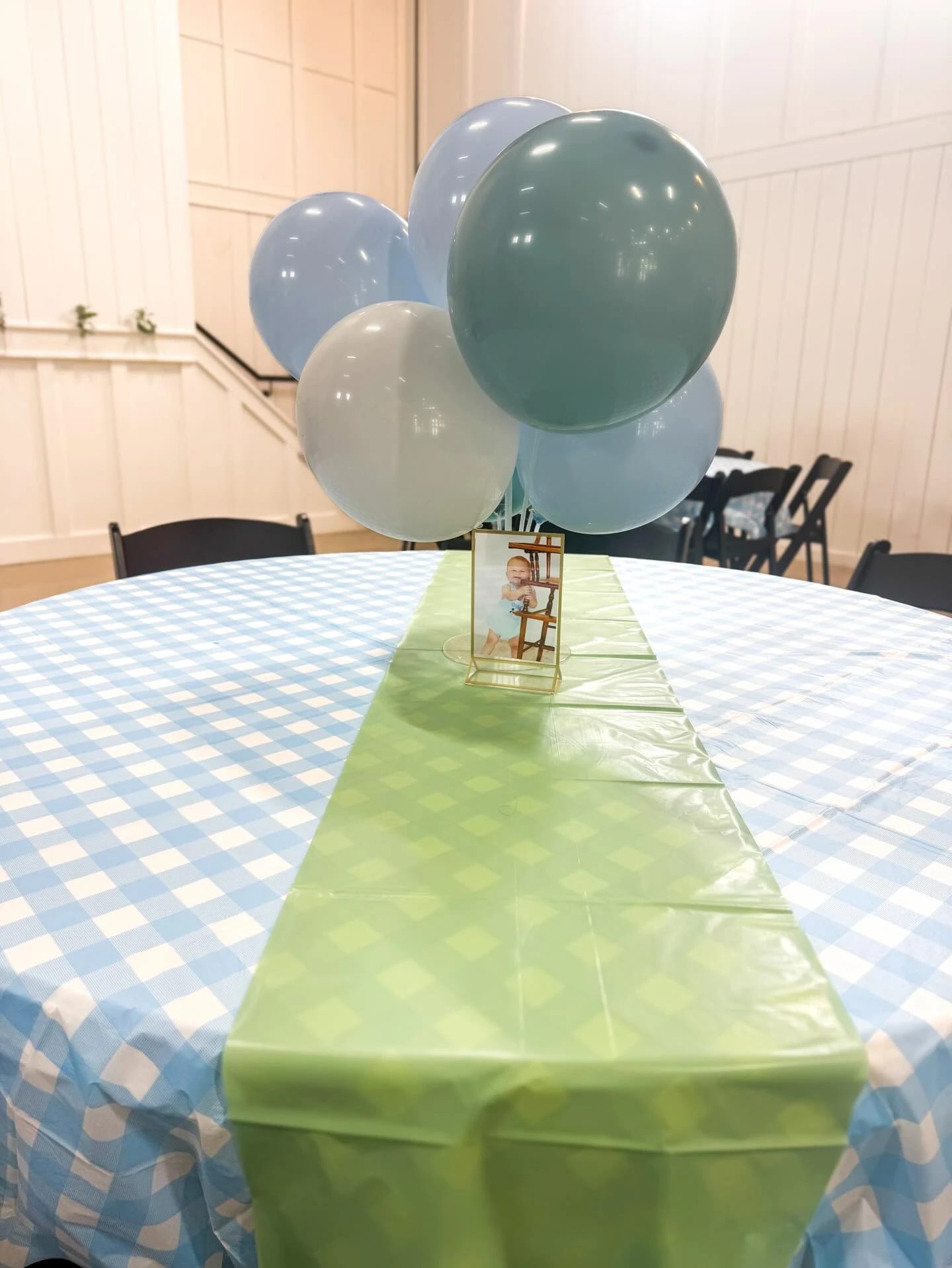 Gingham Pond Table Linens one lucky duck birthday party