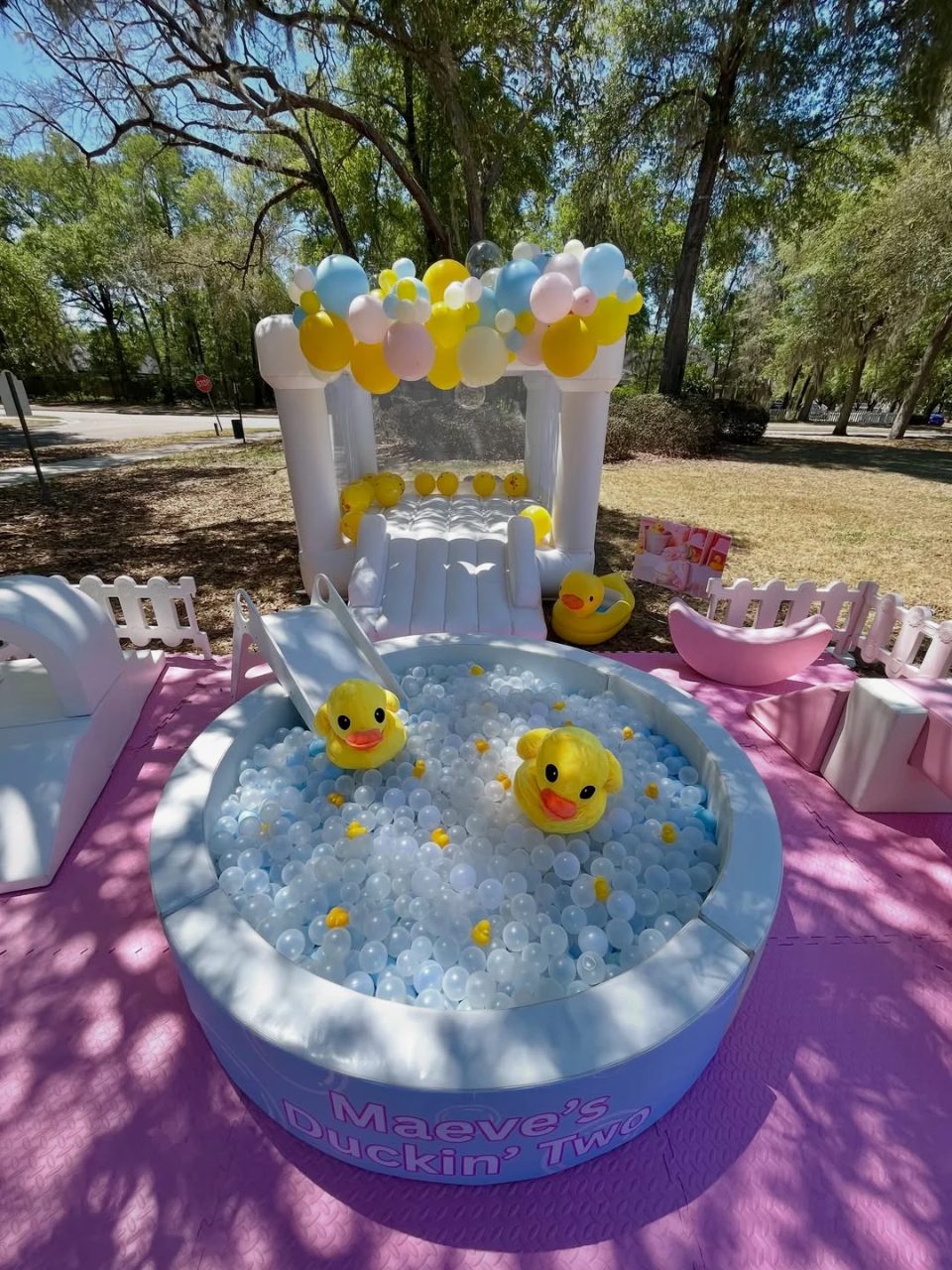 Bubble Ball Pit Pond one lucky duck birthday party