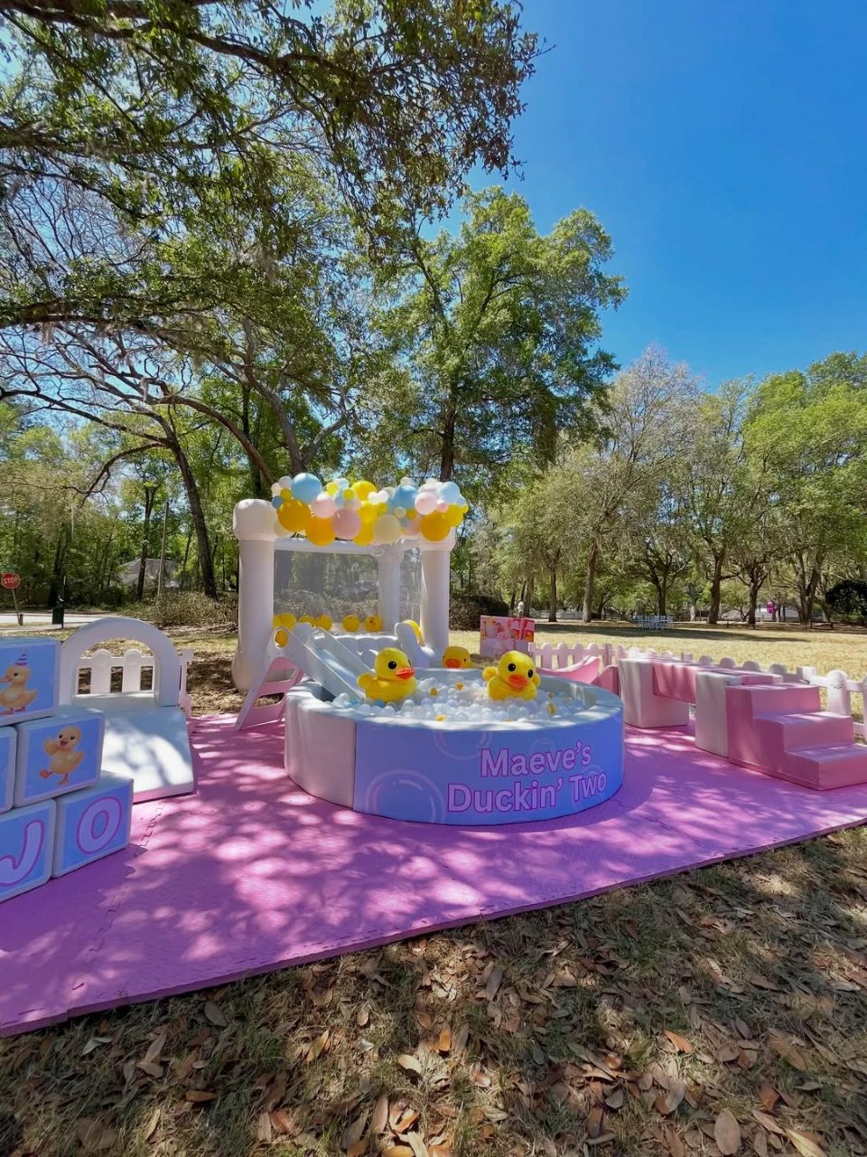 Bubble Ball Pit Pond one lucky duck birthday party