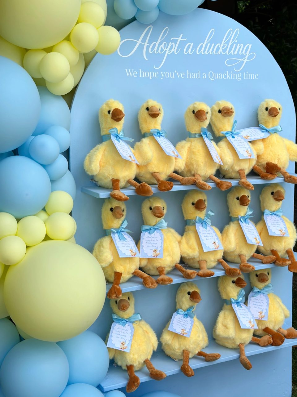 Plush Duckling Adoption Wall one lucky duck birthday party