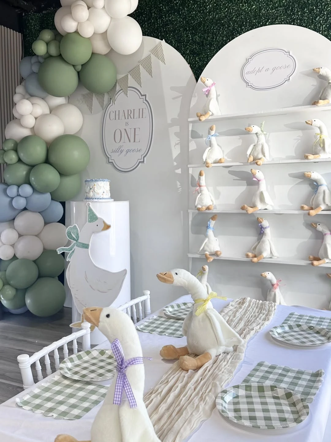 Layered Arched Backdrop one silly goose birthday