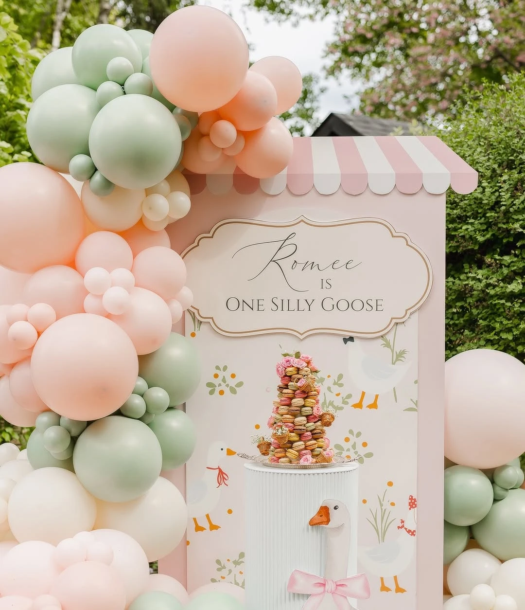 Illustrated Awning Backdrop one silly goose birthday